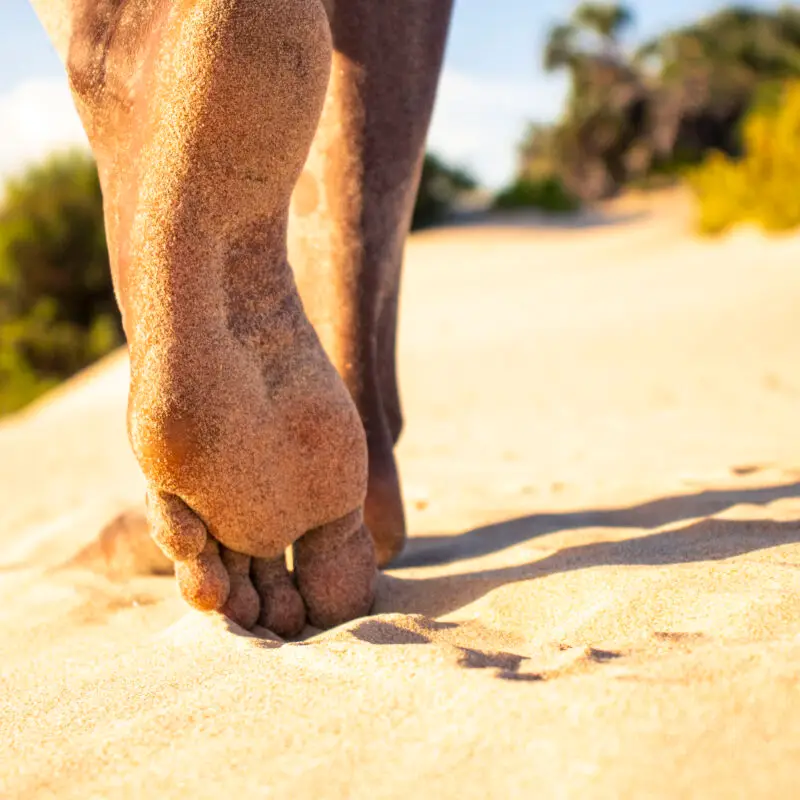 Close-up of a person's leg walking on a sandy beach_Gloria
