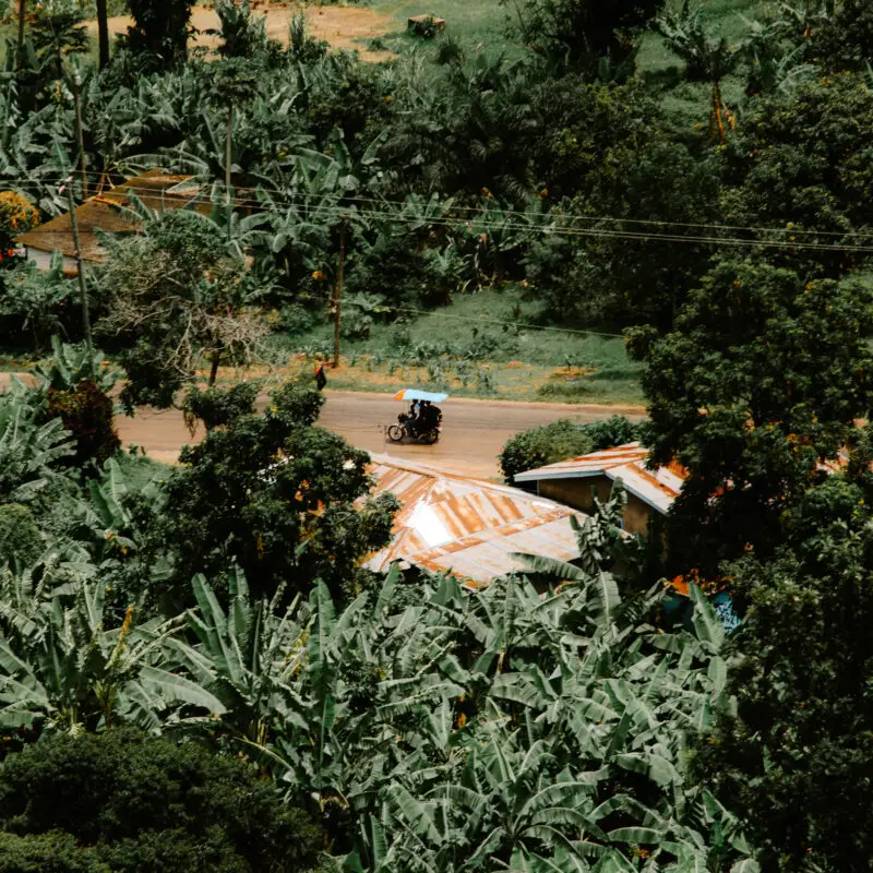 aerial view of a road_ Joshua
